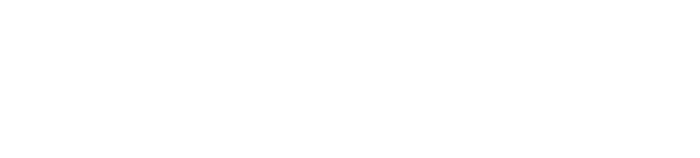 PigeonandDoveSpecialist Group White