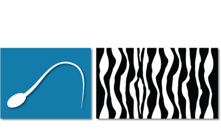 big SEZARC Logo cleaned
