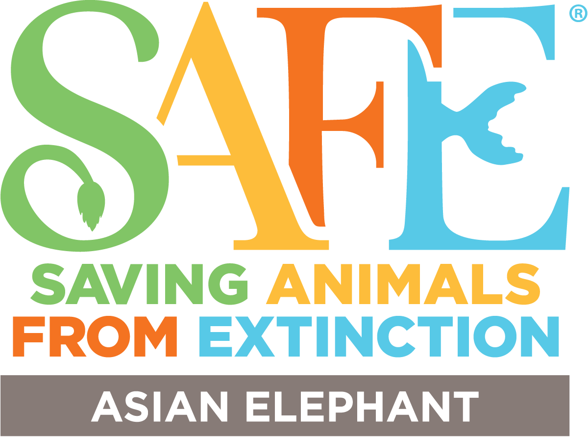elephant affiliate 3