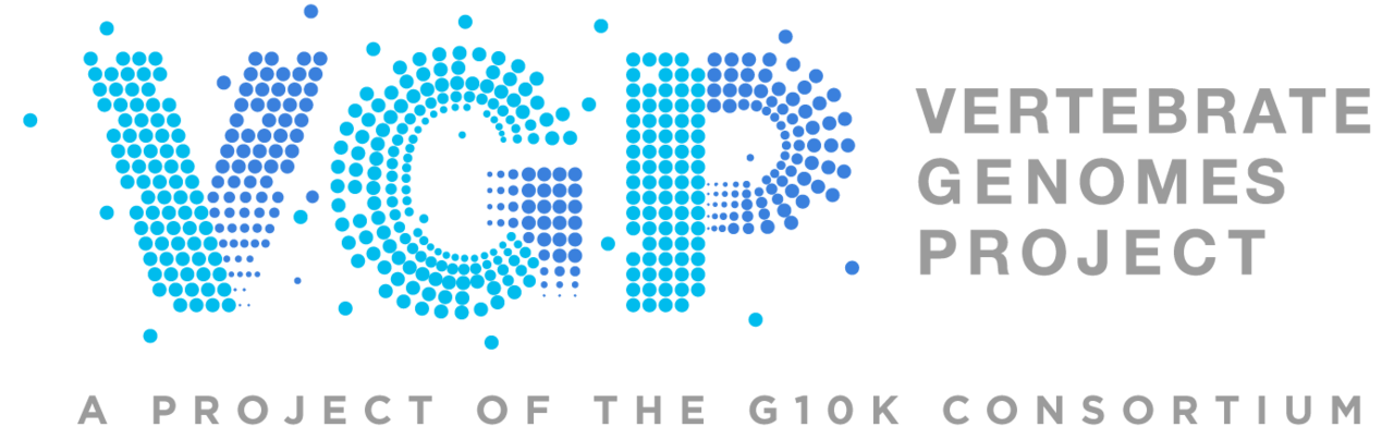 large VGP Tag RGB newLogo 72dpi Dots EDIT