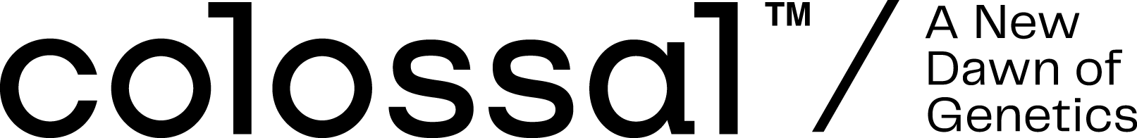 logo footer Drk PNG